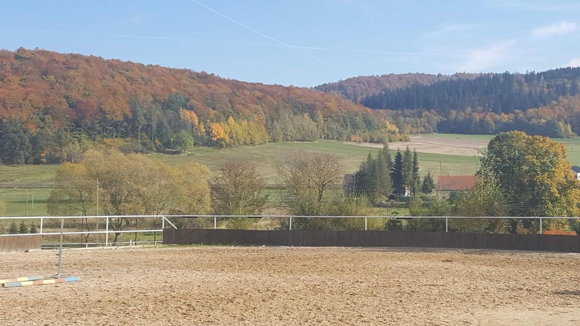 Agroturystyka Agro-Podkowka Marciszow Luaran gambar