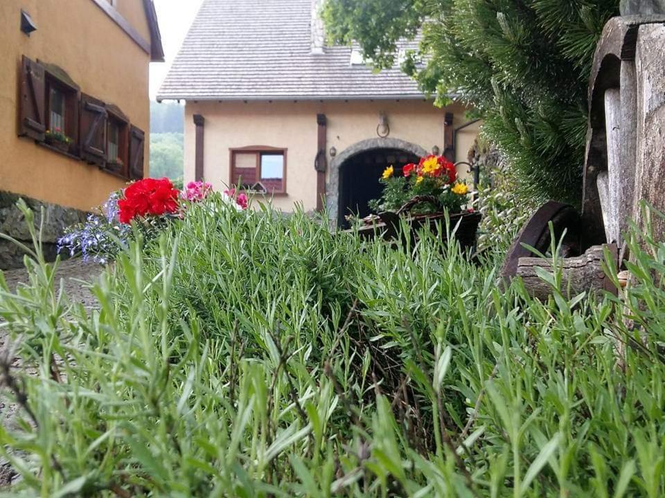 Agroturystyka Agro-Podkowka Marciszow Luaran gambar