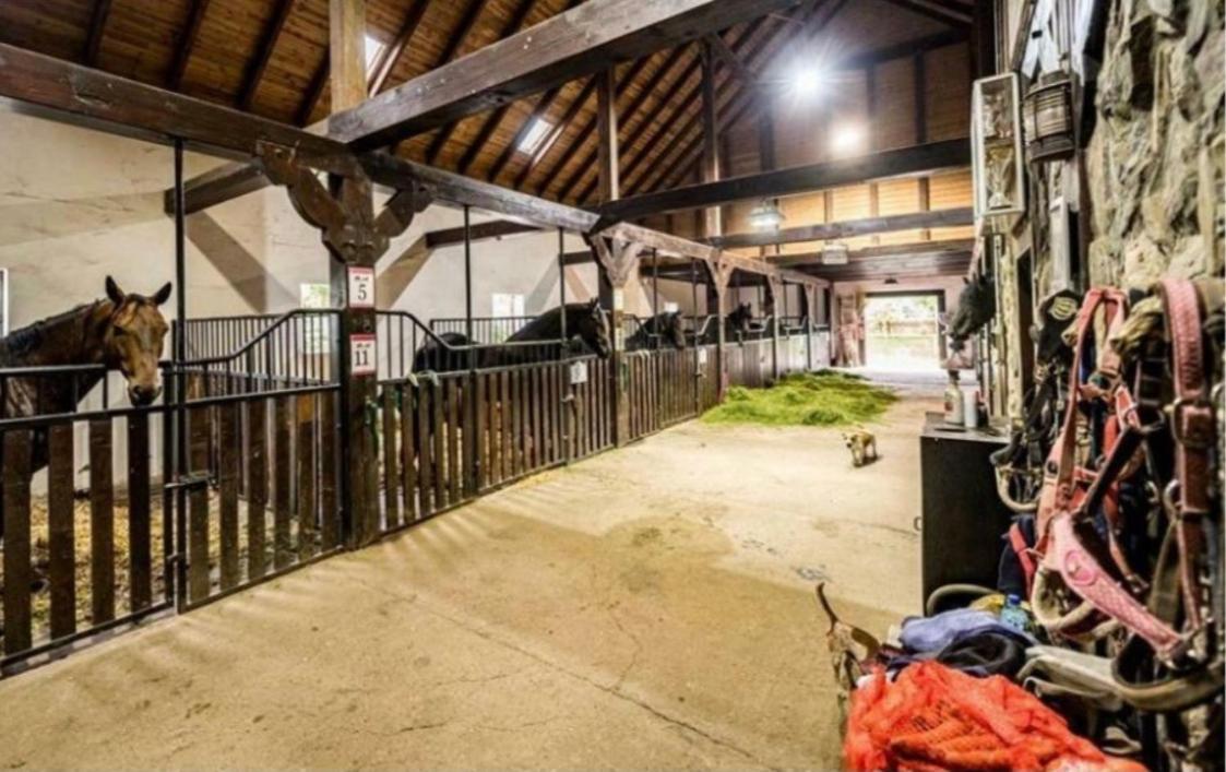Agroturystyka Agro-Podkowka Marciszow Luaran gambar