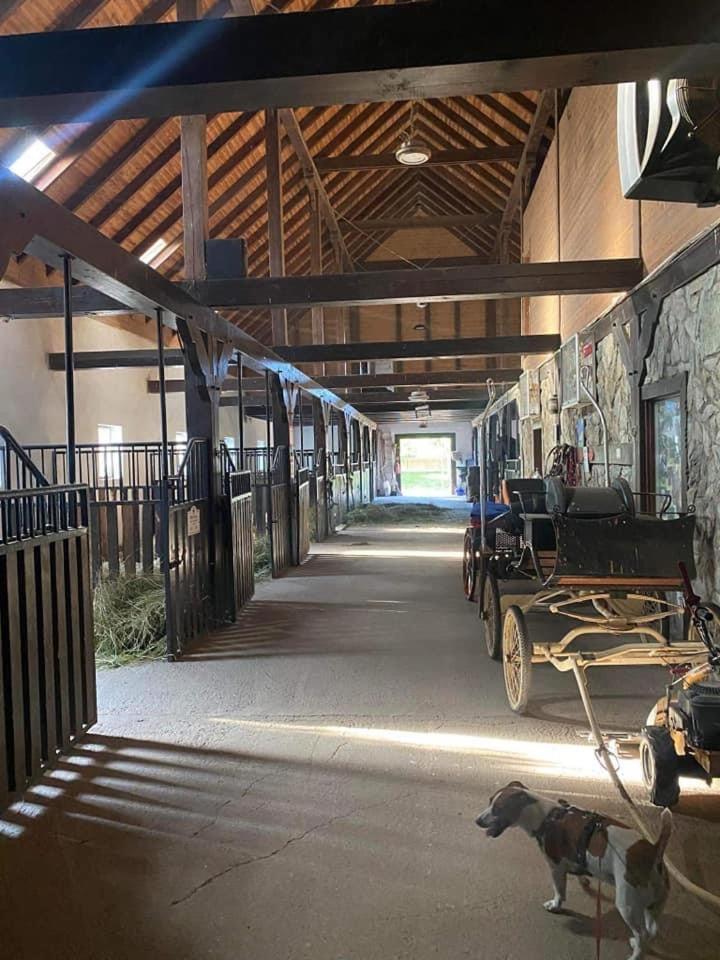 Agroturystyka Agro-Podkowka Marciszow Luaran gambar
